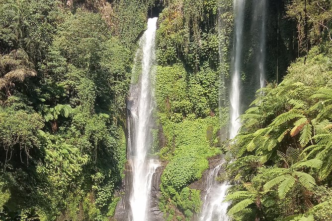 All Inclusive Sekumpul Waterfall Trekking , Handara Gate & Temple - What the $68.67 Price Really Covers
