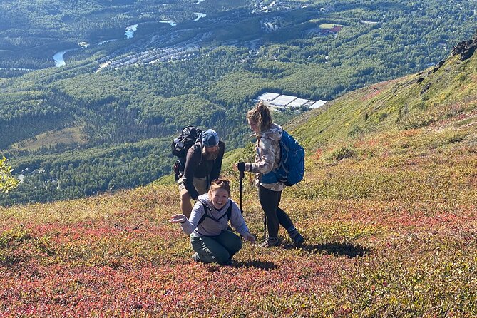 Alpine Classic Trek - Key points to know before you book