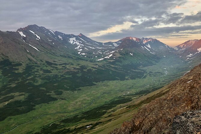 Alpine Classic Trek - Wildlife and birds along the trail