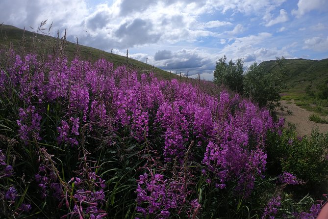 Alpine Classic Trek - Weather changes the character of the hike