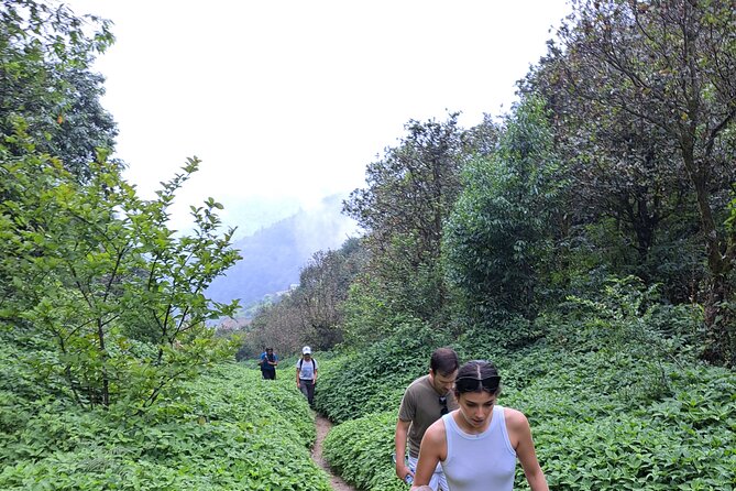 Amazing 1 Day Trekking Experience in Kathmandu Nepal - Lunch, transport, and the $130 question