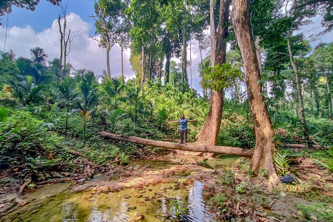 Ancient Lava Stream Trek through dense Tropical forest. - From Govind Nagar into Havelock’s coastal forest