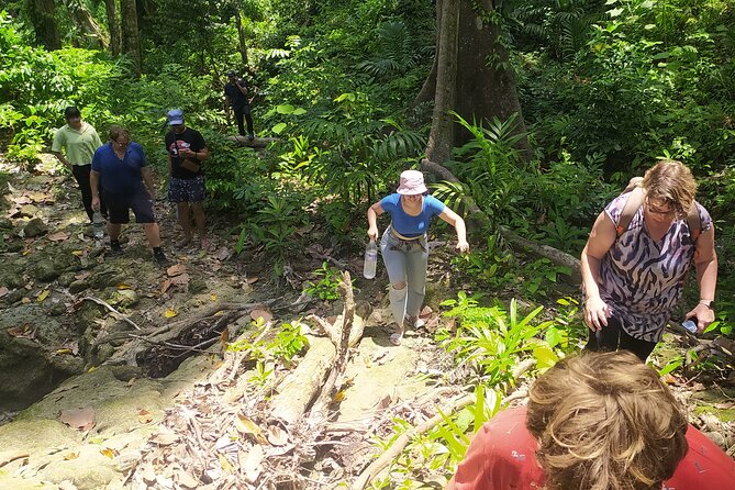 Ancient Lava Stream Trek through dense Tropical forest. - Who should book this Havelock trek?