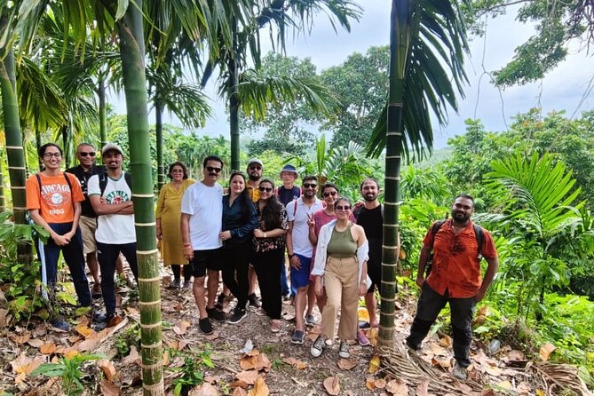 Ancient Lava Stream Trek through dense Tropical forest. - Areca nut plantations and island life