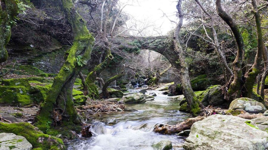 Andros: Achla River Trekking to the Waterfall - Reaching Gerolimni Waterfall
