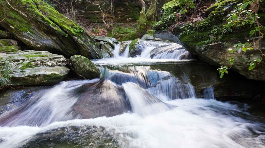 Andros: Achla River Trekking to the Waterfall - Who should book this outing?