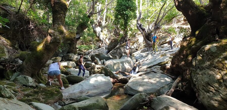 Andros: Achla River Trekking to the Waterfall - The opening hike to the Achla River
