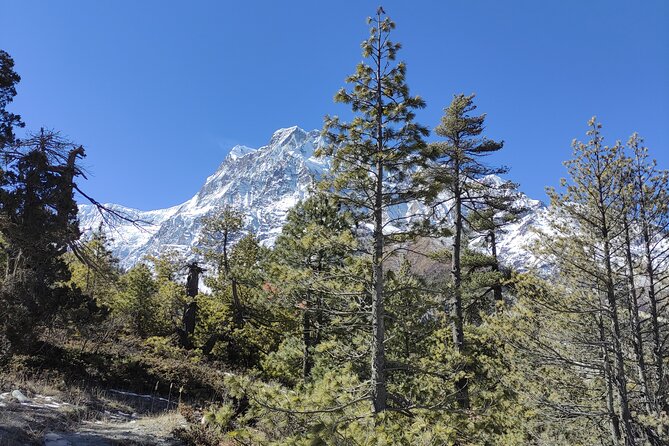 Annapurna Base Camp Trek 10 Days - Key points to know before booking