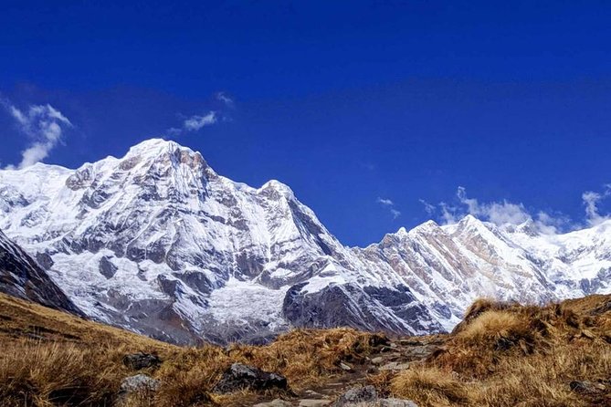 Annapurna Base Camp Trek- 11 Days - Day 4: Chhomrong to Bamboo and the forested valley