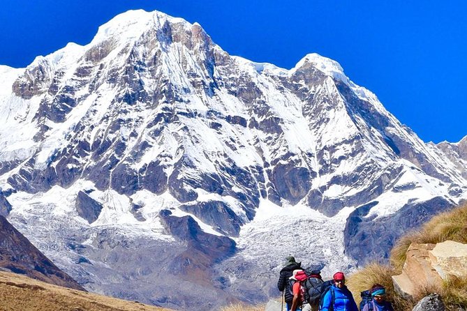 Annapurna Base Camp Trek- 11 Days - Day 7: The long descent to Bamboo