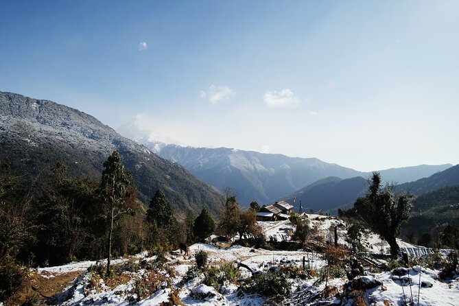 Annapurna Base Camp Trek 11 Days Full Package - Why this route works so well