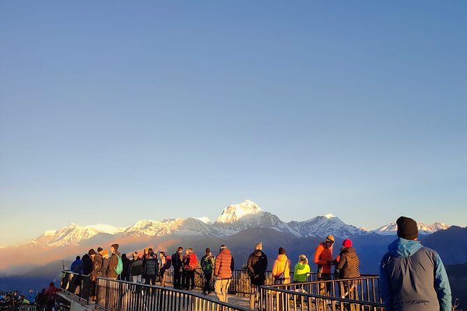 Annapurna Base Camp Trek 12 Days - Day 6: Tadapani, Chhomrong, and Sinuwa