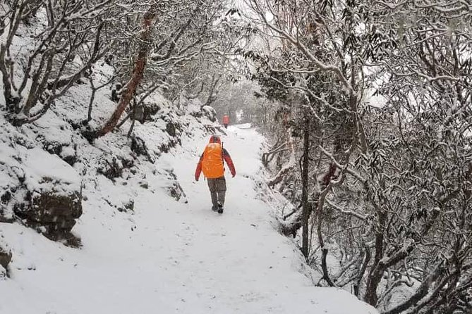 Annapurna base camp trek 5 Days - What the $699 price buys you