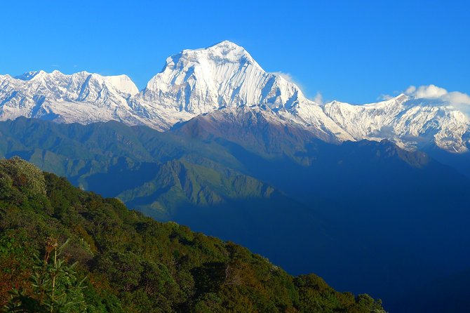 Annapurna Base Camp Trek -8 days - Day 4: Dovan to Machhapuchhare Base Camp