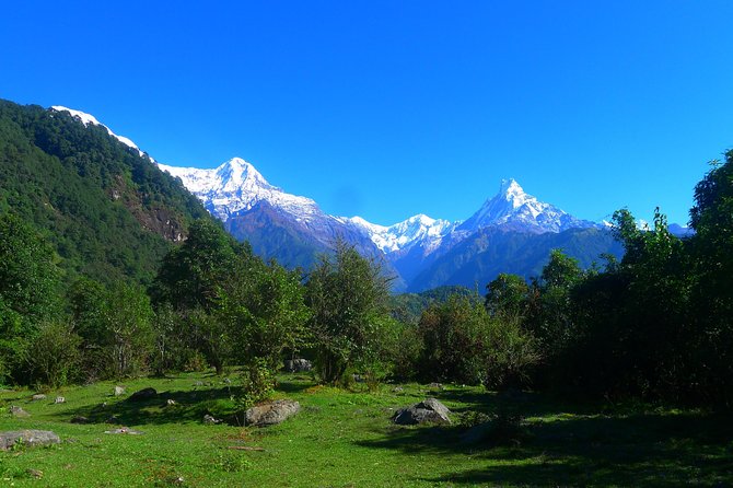 Annapurna Base Camp Trek -8 days - Day 6: From the Sanctuary back to Bamboo