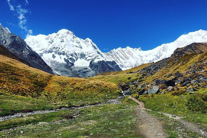 Annapurna Base Camp Trek and Chitwan Excursion - Poon Hill sunrise and the forest route to Chhomrong