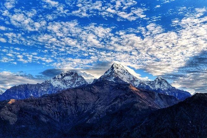 Annapurna Base Camp Trek and Chitwan Excursion - Chitwan brings wildlife and Tharu culture