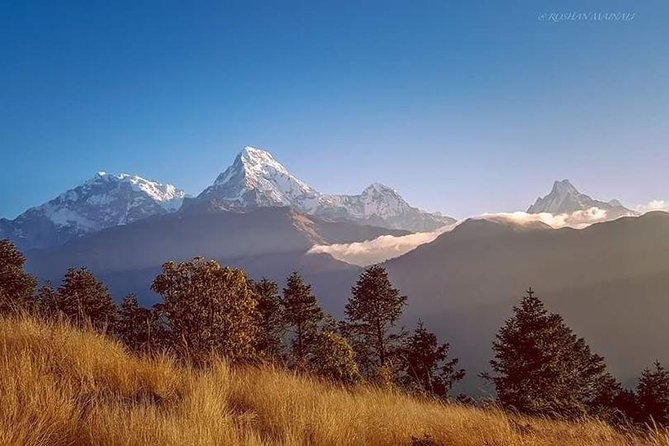 Annapurna Base Camp Trek and Chitwan Excursion - Patan, Bhaktapur, and a hands-on final day
