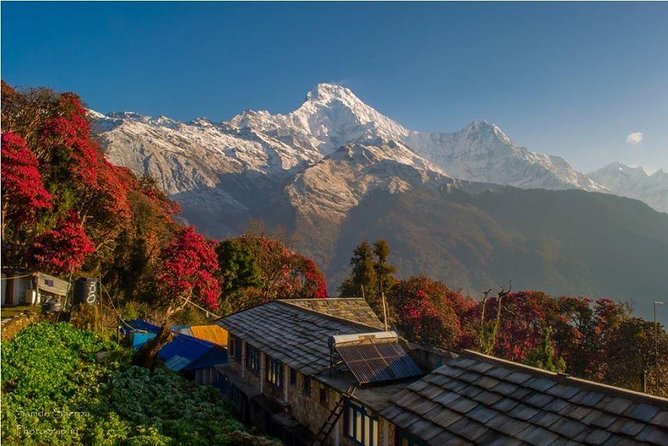 Annapurna Base Camp Trek and Chitwan Excursion - Ulleri and Ghorepani: a demanding start with a soft reward