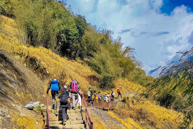 Annapurna Base Camp Trekking 09 Days - Day 6: Bamboo to Jhinu Danda, then back to Pokhara