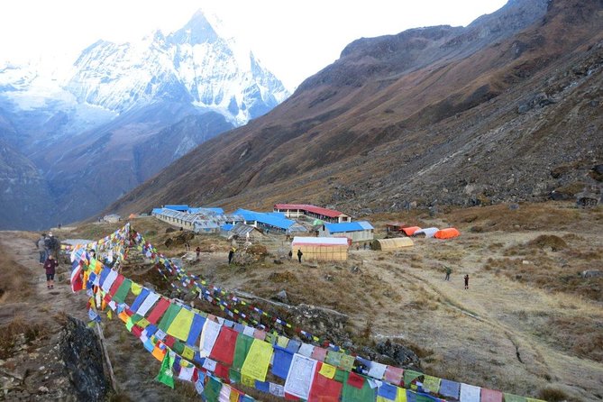 Annapurna Base Camp Trekking - 14 Days - Days 5 and 6: Tadapani to Chhomrung