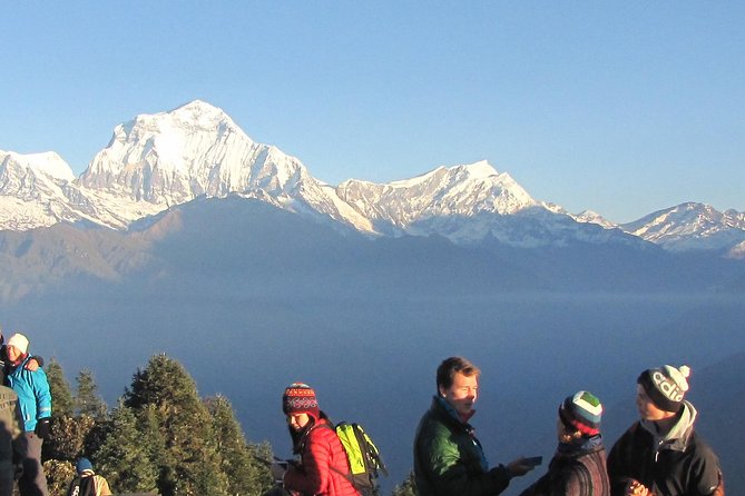 Annapurna Base Camp Trekking - 14 Days - Days 7 and 8: Into the Modi Khola gorge