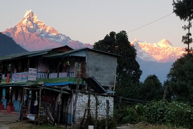Annapurna Base Camp Trekking - 14 Days - Days 10 and 11: The long return through Bamboo to Jhinu Danda