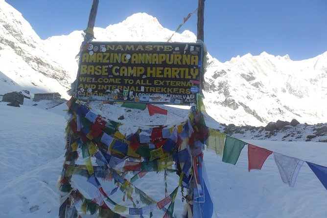 Annapurna Base Camp Trekking - 14 Days - Days 12 to 14: Nayapul, Pokhara, and Kathmandu
