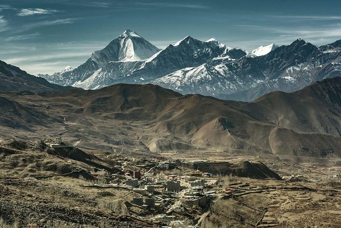 Annapurna Circuit Trek with Heritage Highlights - High country brings Yak Kharka, Ledar, and Thorong High Camp