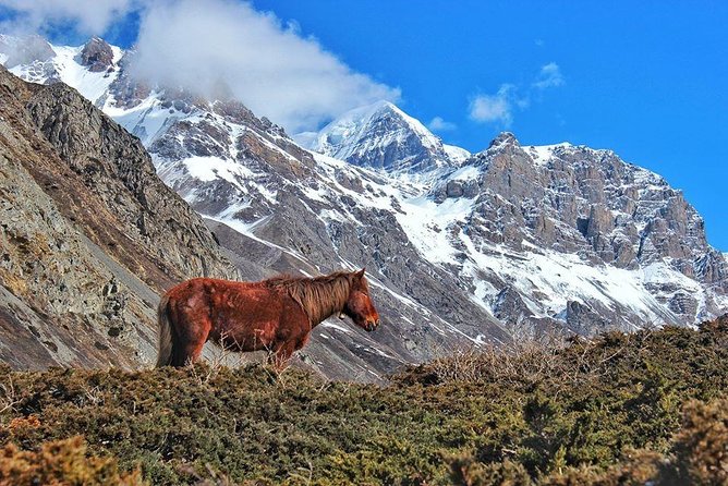 Annapurna Circuit Trek with Heritage Highlights - The road from Kathmandu to Syange takes patience