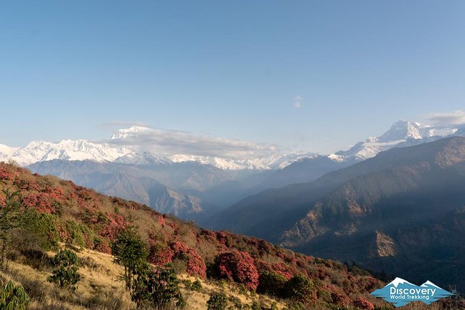 Annapurna Circuit Trek with Tilicho Lake - Forests, cliffs, and the approach to Manang