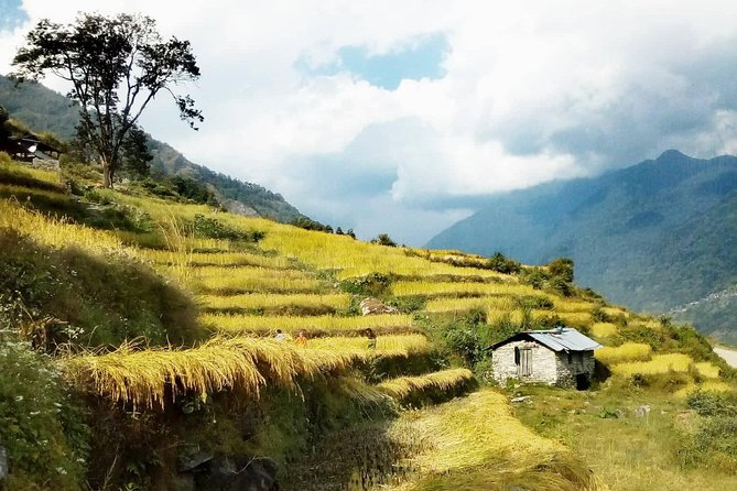 Annapurna Circuit Trekking -17 Days - What the $1,400 price covers