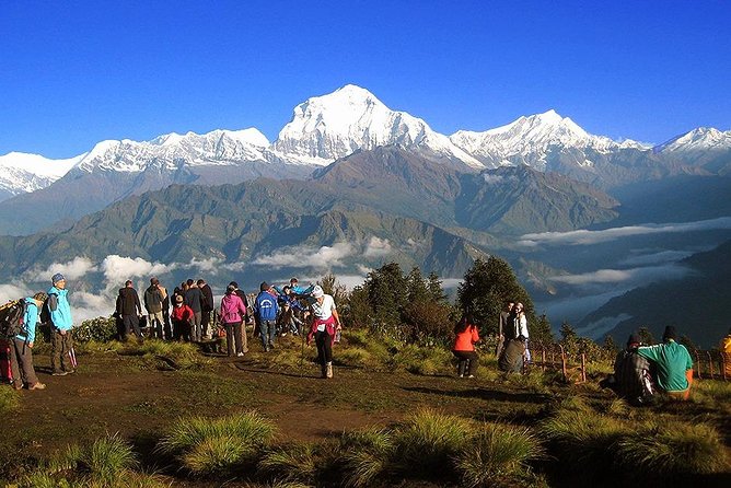 Annapurna Dhaulagiri Khopra Trekking - Key points to know before booking