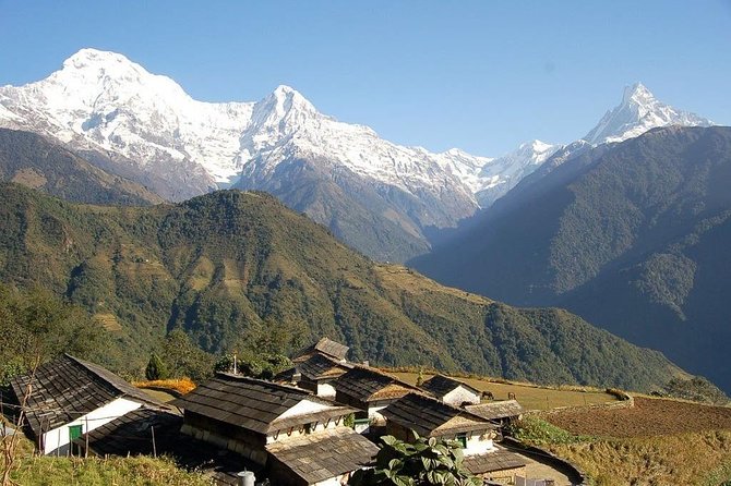 Annapurna Ghorepani Poon Hill trek from Pokhara short and easy hike in Himalaya - Day 4: Nayapul, Tikhedhunga, and Ulleri