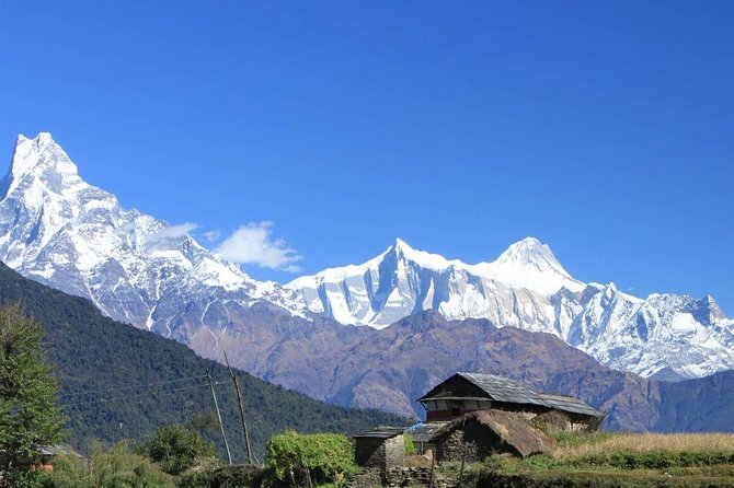 Annapurna Ghorepani Poon Hill trek from Pokhara short and easy hike in Himalaya - Day 6: Poon Hill, then Tadapani