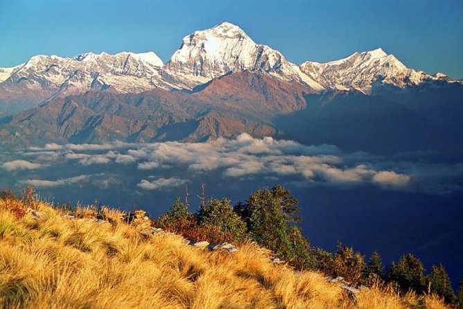 Annapurna Ghorepani Poonhill Trekking - Key points to know before booking