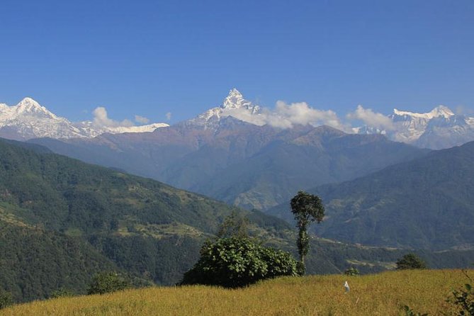Annapurna Panorama trek - Key points to know before you book