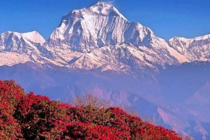 Annapurna Poon hill Sunrise Trek - Day 1: A simple Kathmandu arrival