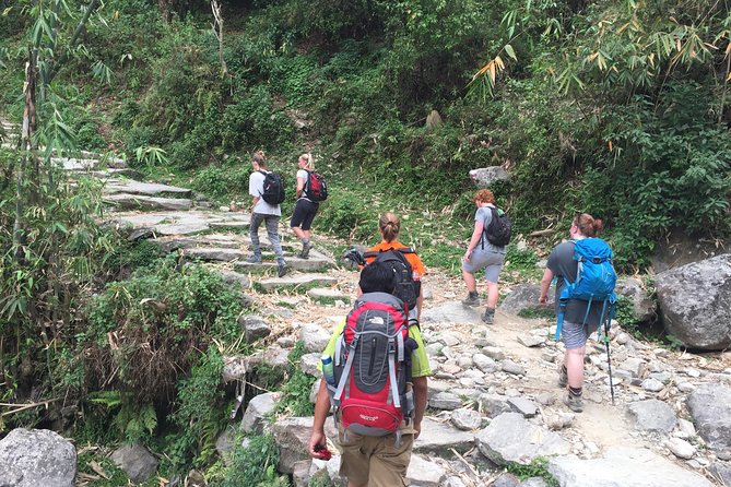 Annapurna Poonhill Trek - The stone steps to Ghorepani