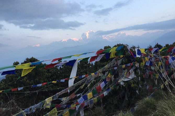 Annapurna Poonhill Trek - The final walk to Phedi and return to Pokhara