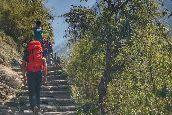 Annapurna Sanctuary Trek ( 11 Days) - Days 10 and 11: Back to Kathmandu and departure