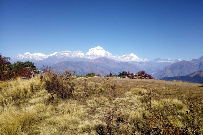 Annapurna Sunrise Trek - Key points to know before booking