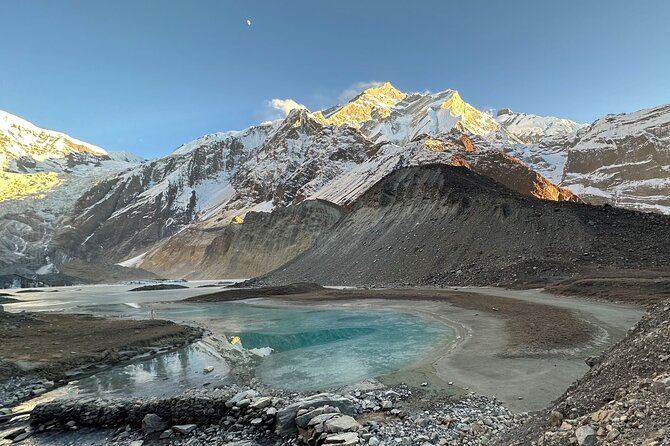 Annapurna View Trek - Day 3: Ghorepani to Tadapani through rhododendron forest
