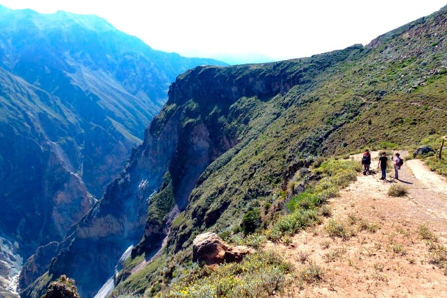 Arequipa: 2-day Colca Canyon Trekking, Ending in Puno - Terraces, Maca, and the thermal bath stop