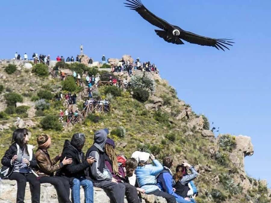 Arequipa: Colca Canyon Trekking 2 days and 1 night + food - Cruz del Condor and the start of the descent