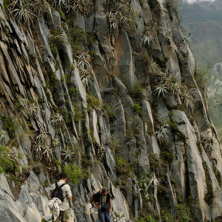 Arequipa: Colca Canyon Trekking 2 days and 1 night + food - The guides can make a hard trek manageable