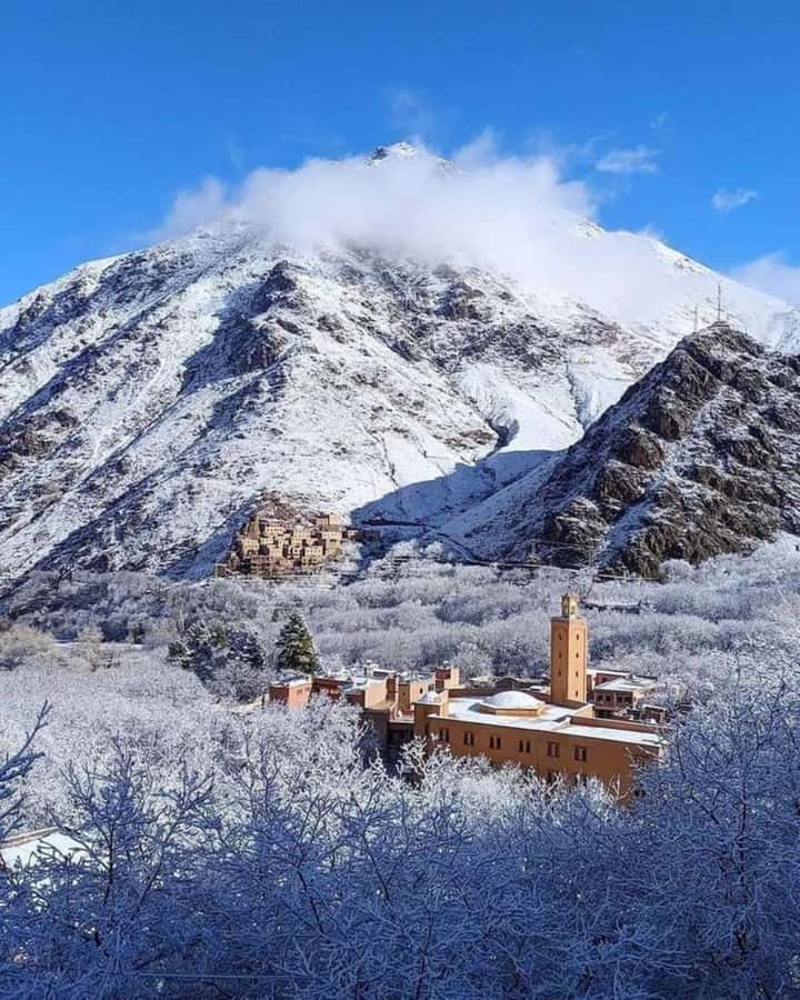 Atlas Mountains:Full-Day Trek to Berber Villages & Waterfall - Is $18 good value?