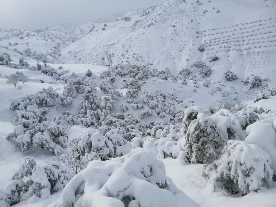 Atlas Mountains Trek Azzaden Valley And Imlil 2 Days - The important Day 1 itinerary warning