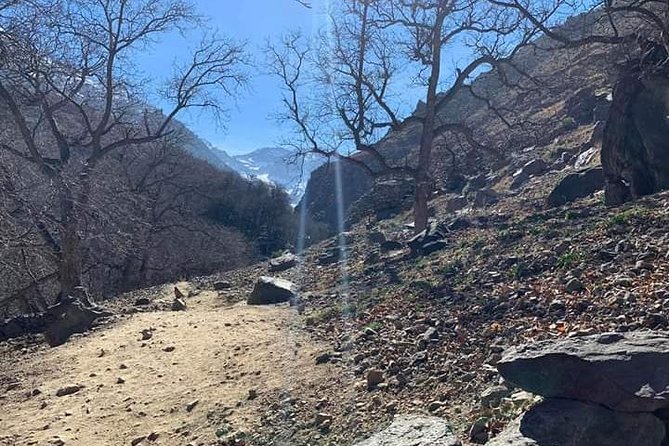 Atlas Mountains, Waterfalls Day Hike & Trek From Marrakech - Waterfalls and the Berber family visit