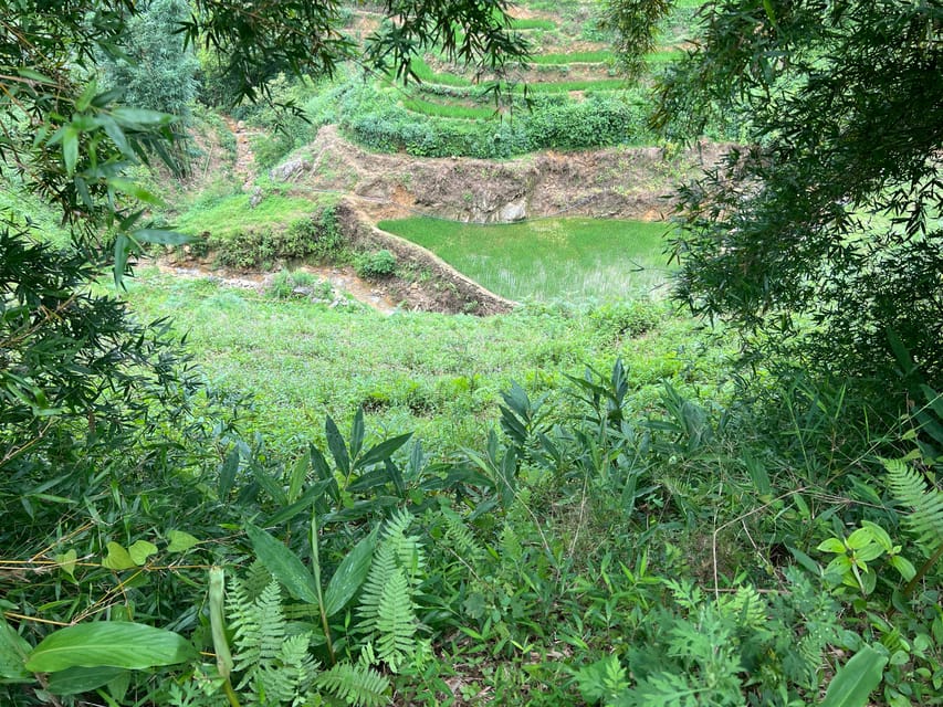 AUTHENIC 2D1N Trek & Bungalow Retreat with Dinh Hmong Family - FAQ